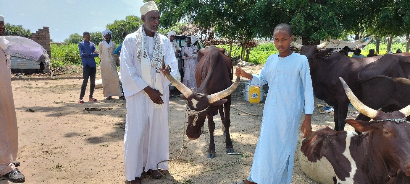 You are currently viewing La voie des 1 000 métiers du pastoralisme : une initiative par et pour les jeunes au Tchad
